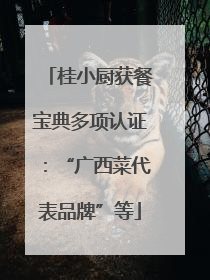 桂小厨获餐宝典多项认证：“广西菜代表品牌”等