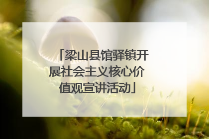 梁山县馆驿镇开展社会主义核心价值观宣讲活动