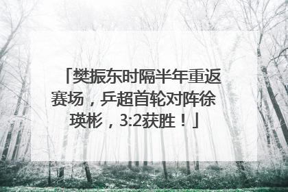 樊振东时隔半年重返赛场，乒超首轮对阵徐瑛彬，3:2获胜！