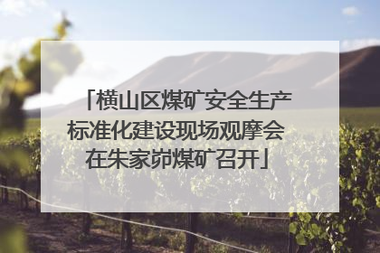 横山区煤矿安全生产标准化建设现场观摩会在朱家峁煤矿召开