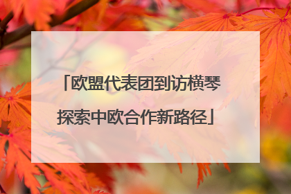 欧盟代表团到访横琴 探索中欧合作新路径