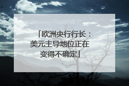 欧洲央行行长：美元主导地位正在变得不确定