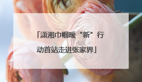 潇湘巾帼暖“新”行动首站走进张家界
