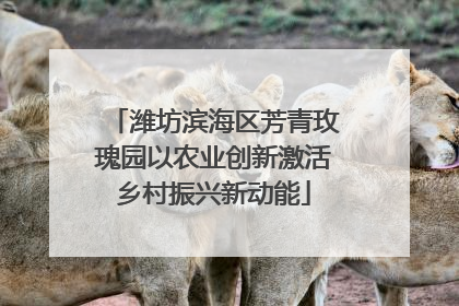 潍坊滨海区芳青玫瑰园以农业创新激活乡村振兴新动能