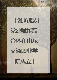 潍坊船员党建赋能联合体在山东交通职业学院成立