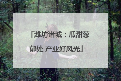 潍坊诸城：瓜甜葱郁处 产业好风光