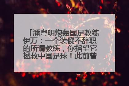 潘粤明炮轰国足教练伊万：一个装傻不辞职的所谓教练，你指望它拯救中国足球！此前曾多次发文评价国足