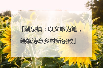 潮泉镇：以文旅为笔，绘就诗意乡村新景致