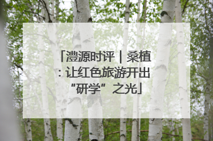澧源时评｜桑植：让红色旅游开出“研学”之光