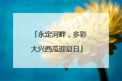 永定河畔，多彩大兴西瓜迎夏日