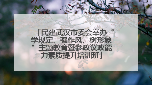 民建武汉市委会举办“学规定、强作风、树形象”主题教育暨参政议政能力素质提升培训班