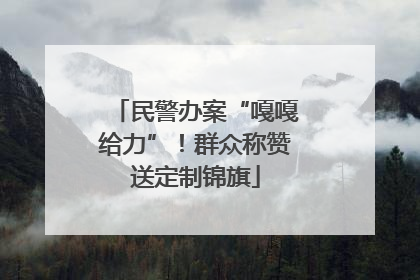 民警办案“嘎嘎给力”！群众称赞送定制锦旗