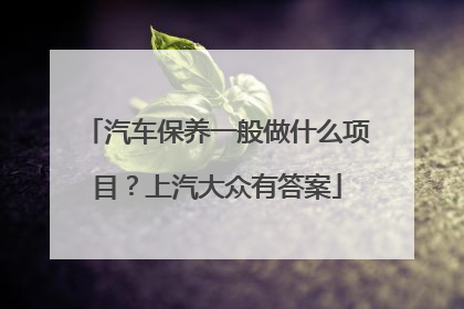 汽车保养一般做什么项目？上汽大众有答案