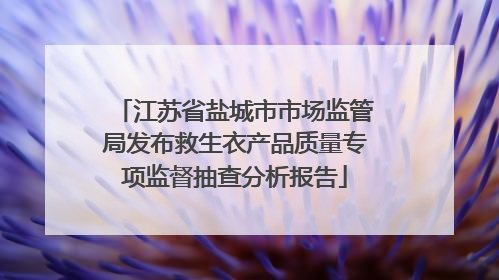 江苏省盐城市市场监管局发布救生衣产品质量专项监督抽查分析报告