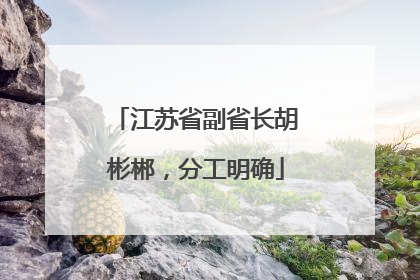 江苏省副省长胡彬郴，分工明确