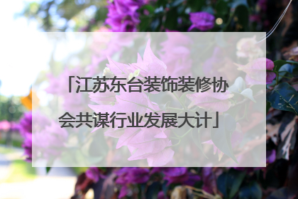 江苏东台装饰装修协会共谋行业发展大计
