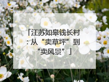 江苏如皋钱长村：从“卖草坪”到“卖风景”