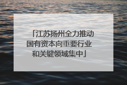 江苏扬州全力推动国有资本向重要行业和关键领域集中