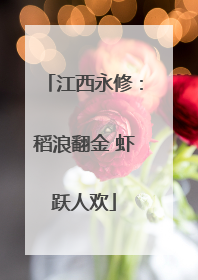 江西永修：稻浪翻金 虾跃人欢