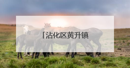 沾化区黄升镇实验学校举办迎端午主题活动