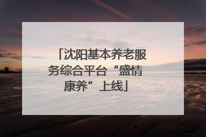 沈阳基本养老服务综合平台“盛情康养”上线