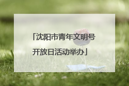 沈阳市青年文明号开放日活动举办