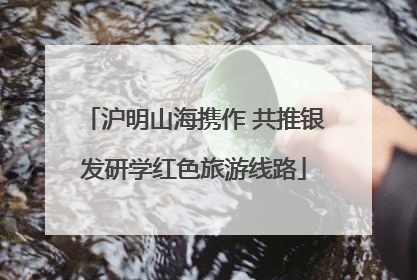 沪明山海携作 共推银发研学红色旅游线路