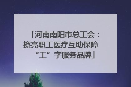 河南南阳市总工会：擦亮职工医疗互助保障“工”字服务品牌