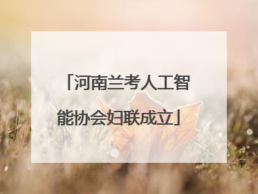 河南兰考人工智能协会妇联成立