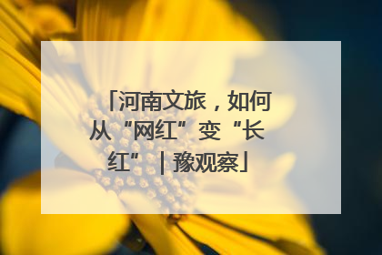 河南文旅，如何从“网红”变“长红”｜豫观察