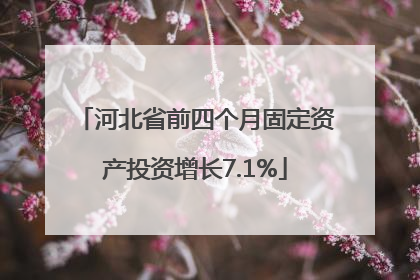 河北省前四个月固定资产投资增长7.1%