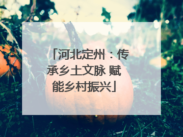 河北定州：传承乡土文脉 赋能乡村振兴