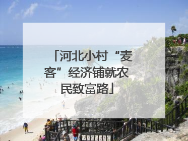 河北小村“麦客”经济铺就农民致富路