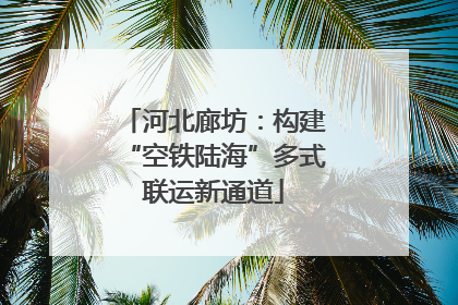 河北廊坊：构建“空铁陆海”多式联运新通道
