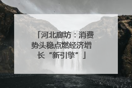 河北廊坊：消费势头稳点燃经济增长“新引擎”