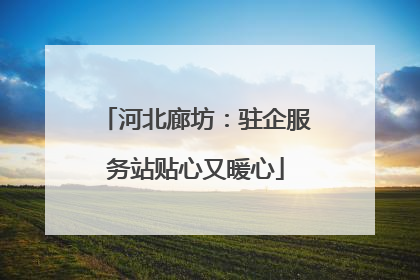河北廊坊：驻企服务站贴心又暖心
