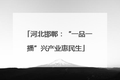 河北邯郸：“一品一播”兴产业惠民生