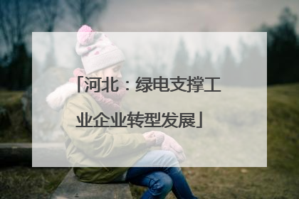 河北：绿电支撑工业企业转型发展