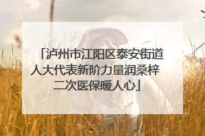 泸州市江阳区泰安街道人大代表新阶力量润桑梓 二次医保暖人心