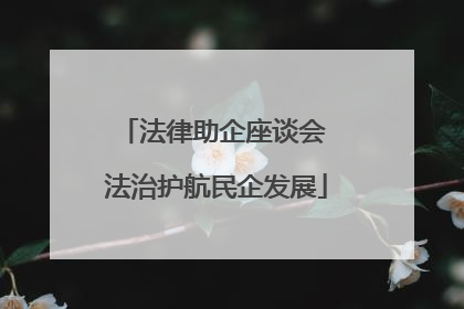 法律助企座谈会 法治护航民企发展