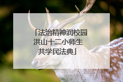 法治精神润校园 洪山十二小师生共学民法典
