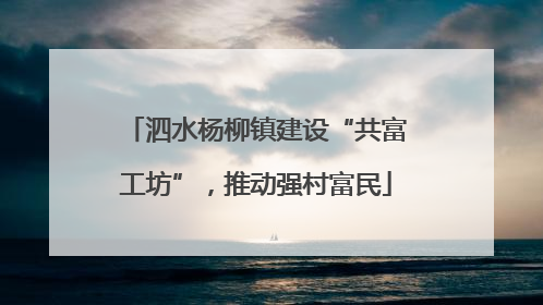 泗水杨柳镇建设“共富工坊”，推动强村富民
