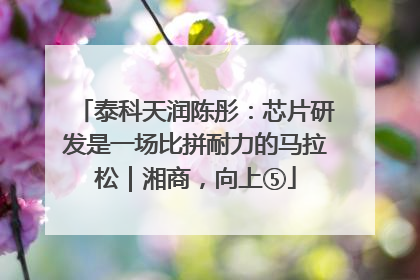 泰科天润陈彤：芯片研发是一场比拼耐力的马拉松｜湘商，向上⑤