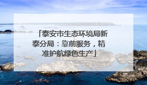 泰安市生态环境局新泰分局：靠前服务，精准护航绿色生产