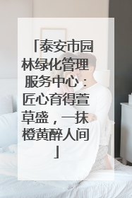 泰安市园林绿化管理服务中心：匠心育得萱草盛，一抹橙黄醉人间