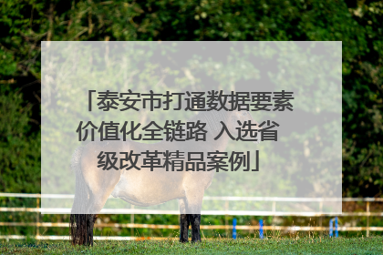 泰安市打通数据要素价值化全链路 入选省级改革精品案例