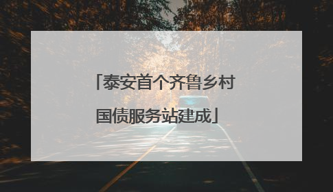 泰安首个齐鲁乡村国债服务站建成