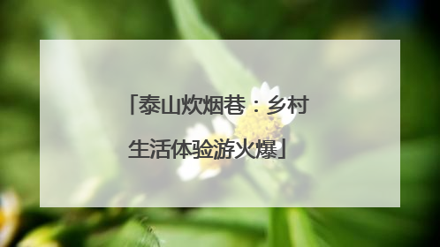 泰山炊烟巷：乡村生活体验游火爆
