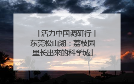 活力中国调研行丨东莞松山湖：荔枝园里长出来的科学城