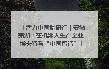 活力中国调研行｜安徽芜湖：在机器人生产企业埃夫特看“中国智造”